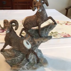 Lenox wildlife Bighorn sheep